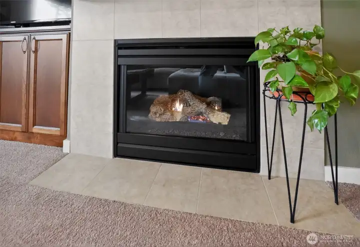 Gas Fireplace