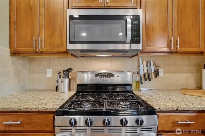 Gas Oven