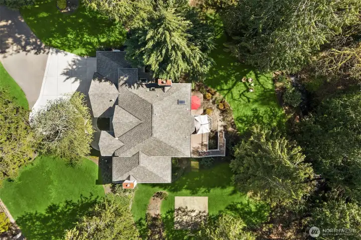 Birds-eye view~
