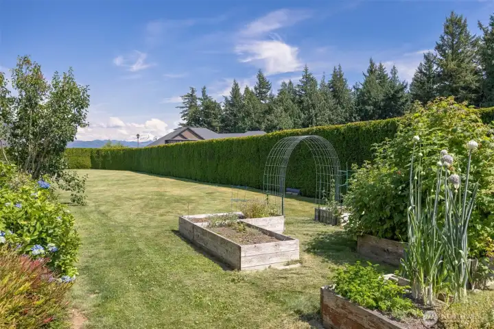 Garden beds with full sun