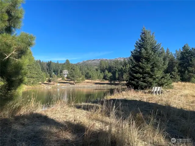 One of two ponds in the community.