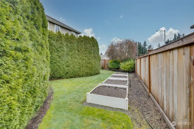 Raised planting beds get lots of sun exposure.