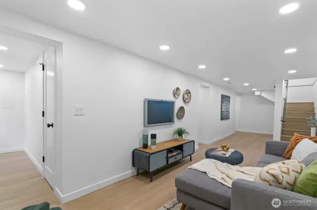 Lower level living room