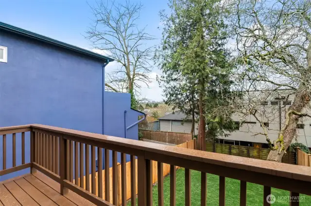views from the back deck