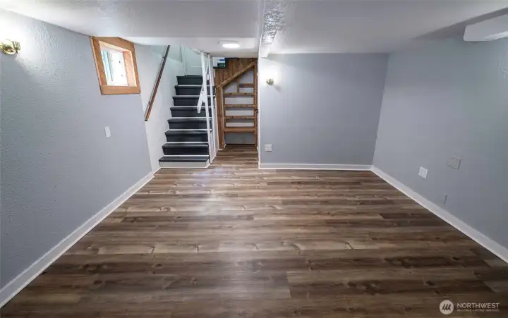 Rec Room - Basement