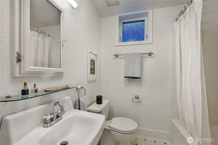 Lower level full bathroom