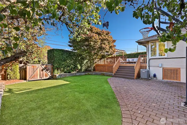 Dream turf backyard.  Great for year round enjoyment.