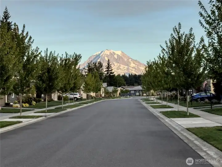 Majestic Mount Rainier