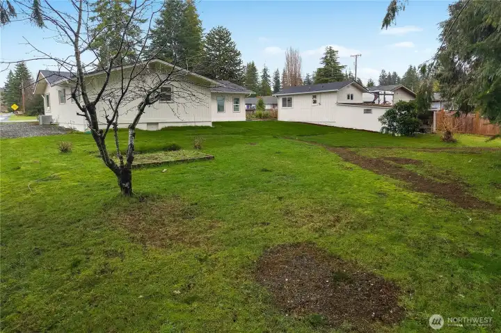 BACK YARD - GARDEN BEDS - STORAGE BEHIND OUTBUILDING