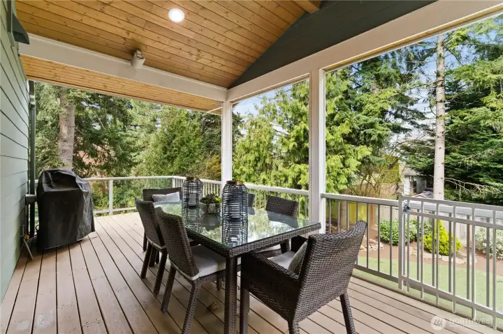Entertaining Deck