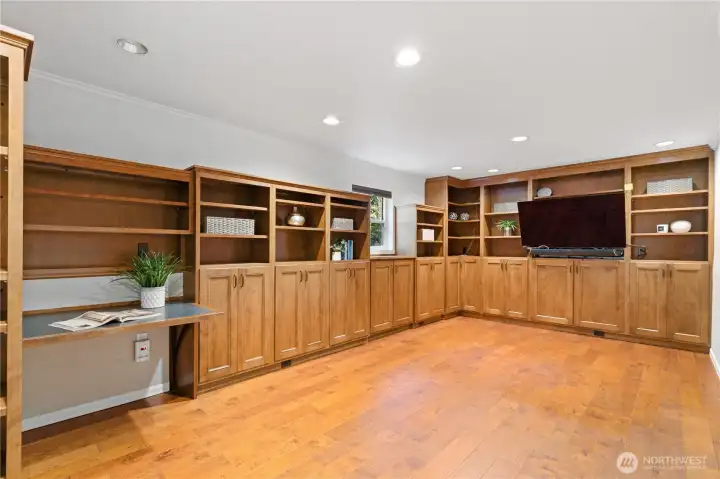 Lower Level Rec Room