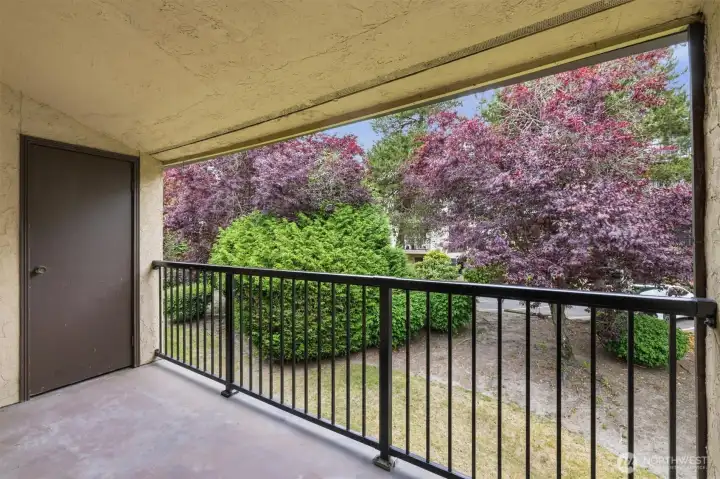 Balcony w/ storage