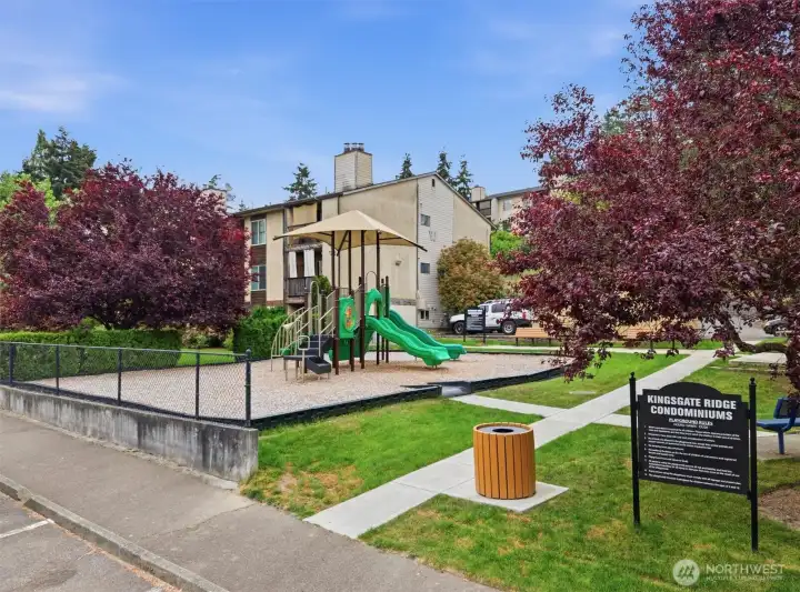 Community playground