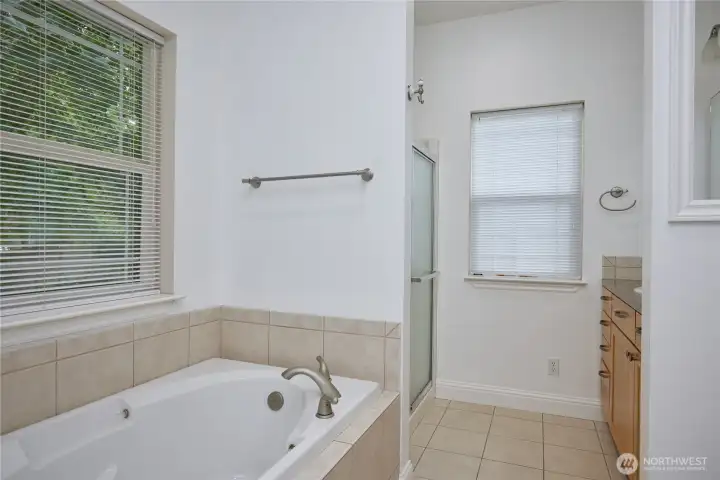 Primary bath Primary bath
