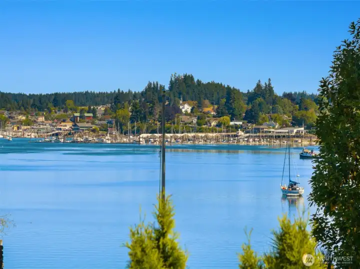 Marina Views