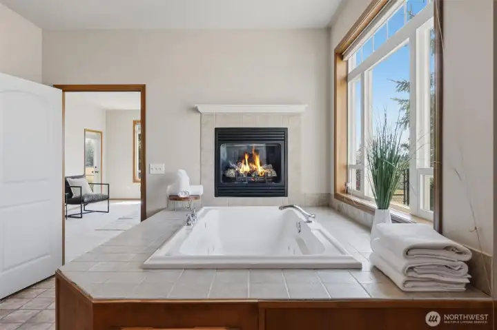 Gas fireplace Gas fireplace