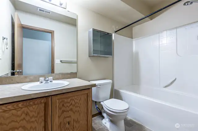Lower level  bathroom