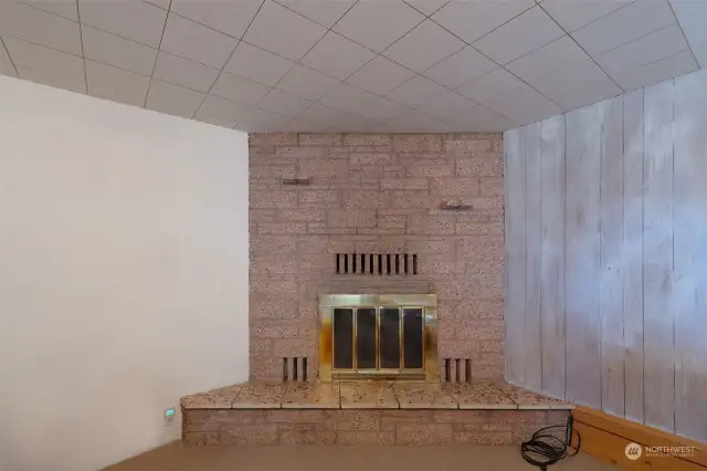Fireplace in basement living room.