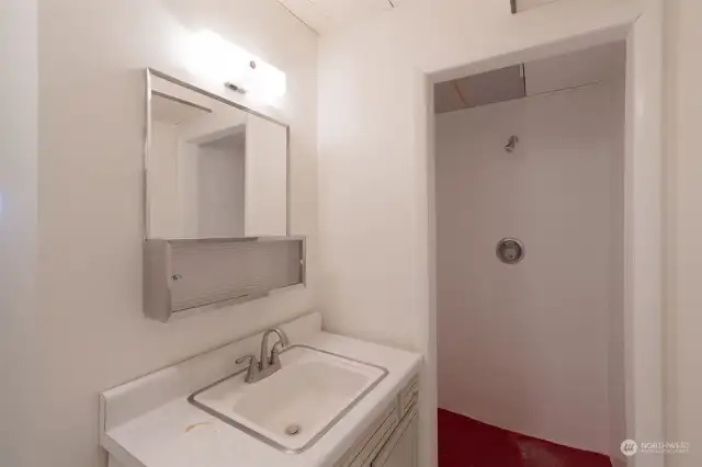 Bathroom in basement.