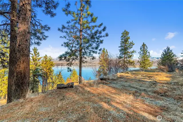 Leveled area where you can build your dream home.