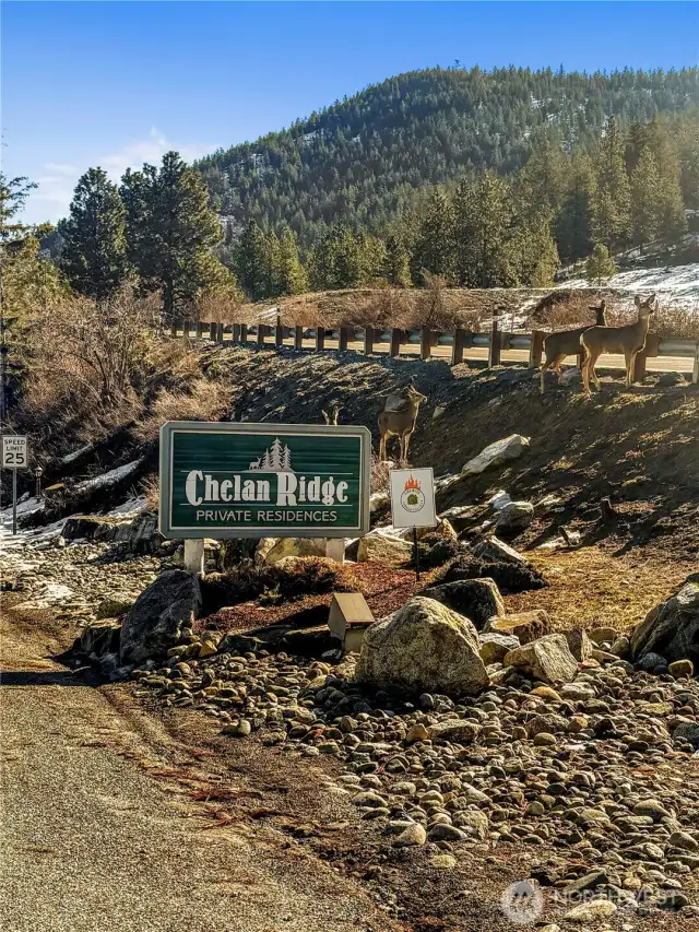 Chelan Ridge -entry of the neighborhood. Common area.