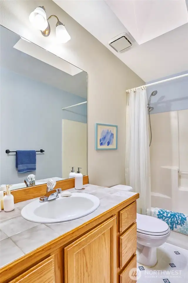 Primary full bathroom with skylight.