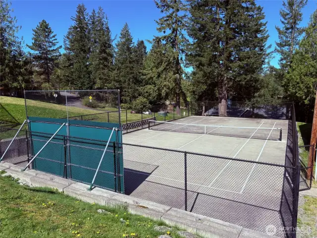 Tennis court