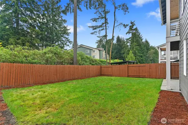 Fully fenced back yard