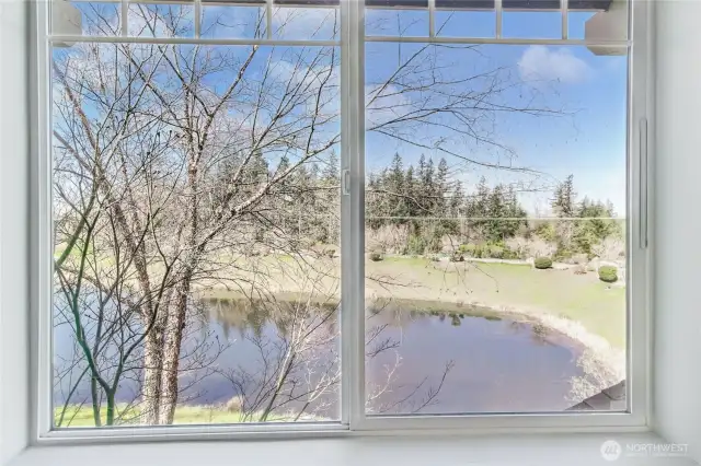 Lake View from living room window
