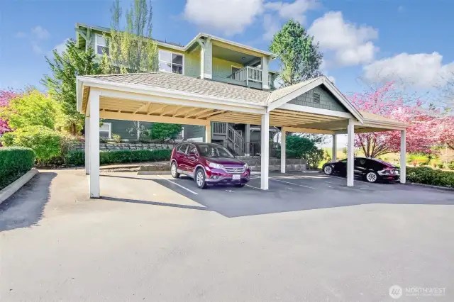 Carport #5