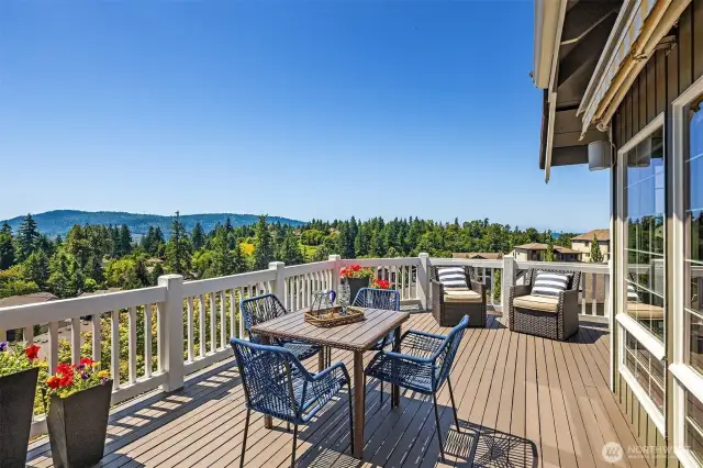 Enjoy entertaining on the view deck