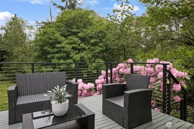 Host unforgettable gatherings on this fabulous, freshly stained deck, featuring modern railings and sweeping views of the lush, forested yard. Steps lead directly to your private green oasis.