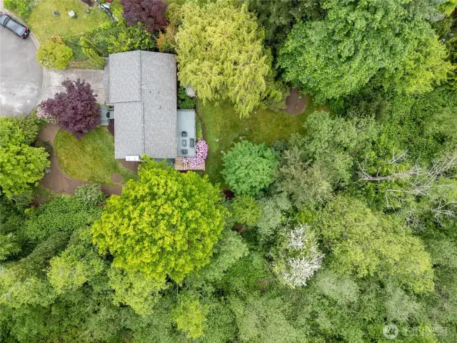 An expansive, wooded lot of over a 1.06 acre, with the tranquil Coal Creek flowing through the backyard—offering both privacy and natural beauty.