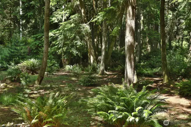 Trails right outside your backdoor that lead to Saratoga Woods with over 100 acres of trust land with trails throughout.