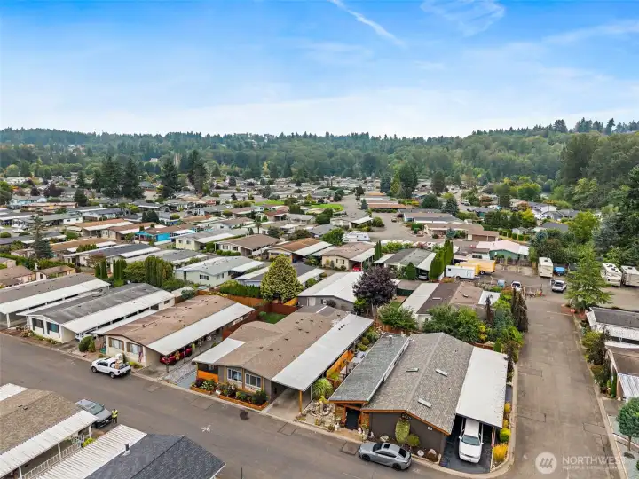 Drone of community