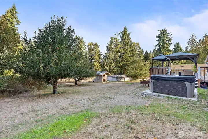 Hot tub off of deck, pool in the background. Note the heavily laden apple trees!