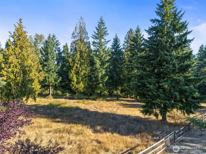 So many possibilities with this usable 5 acres!