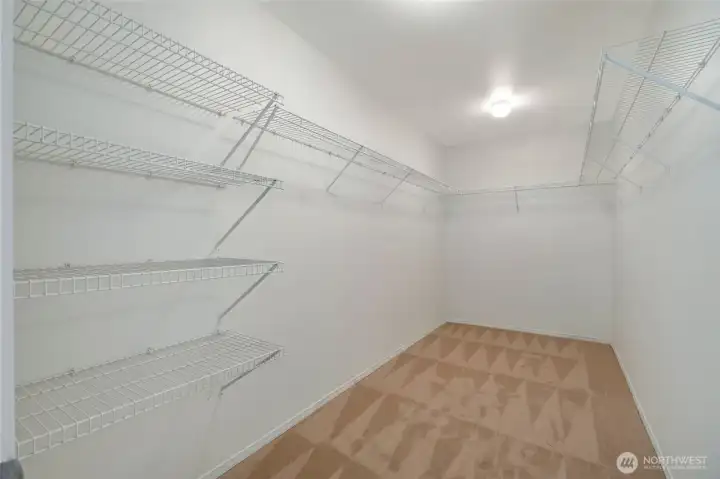 Huge walk-in closet.