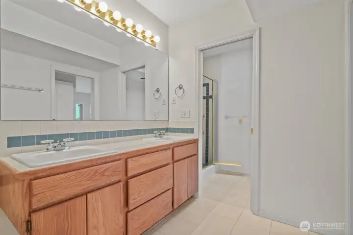 Primary with Dual Sinks