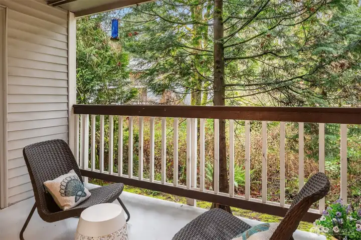 Nature's outlook over a babbling brook.