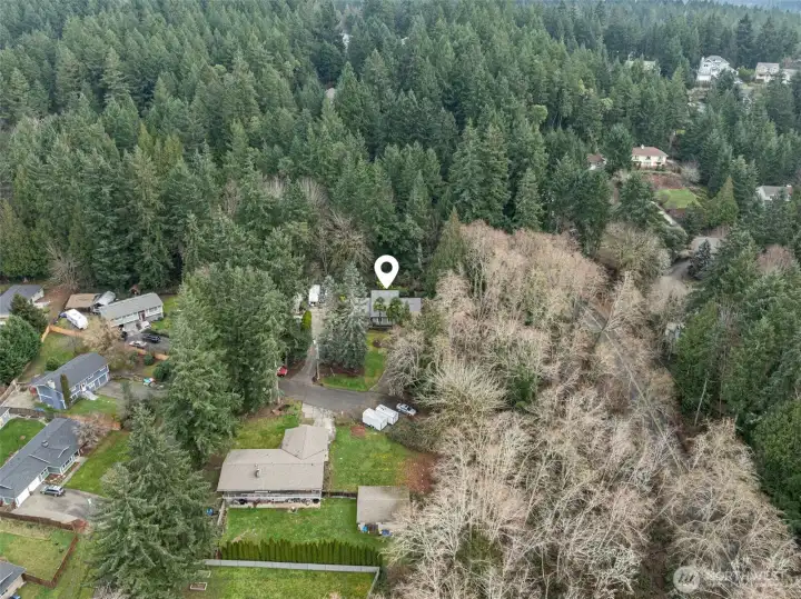 Sylvia Lake Neighborhood