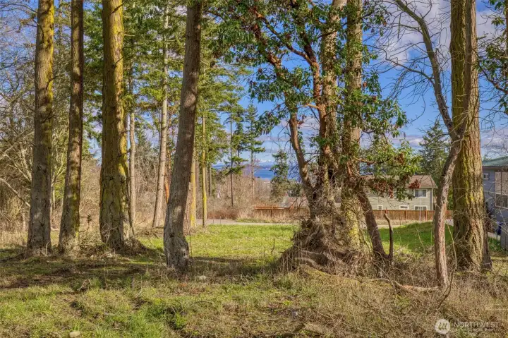 5,000 sqft - end of Wilson, corner of 11th Street.