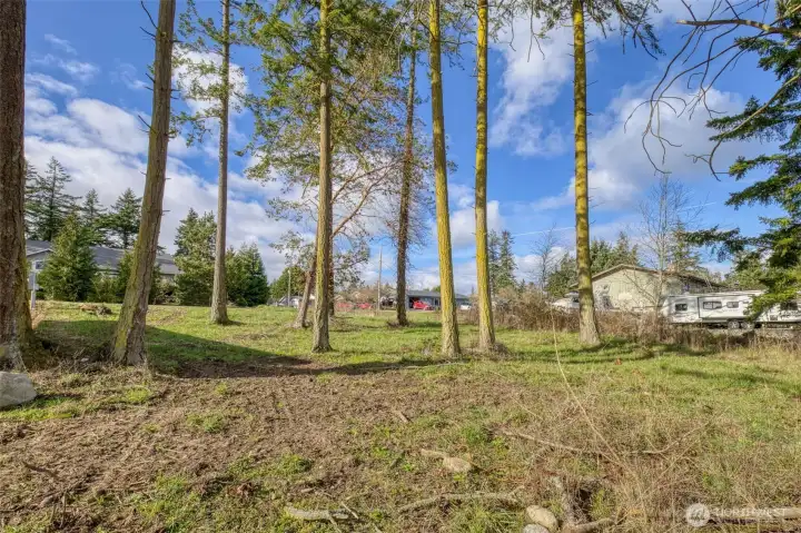 East facing view - towards Wilson