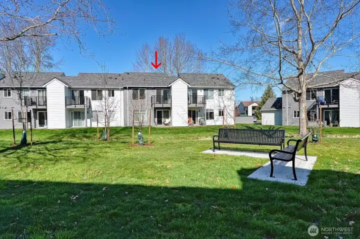 Green space behind building