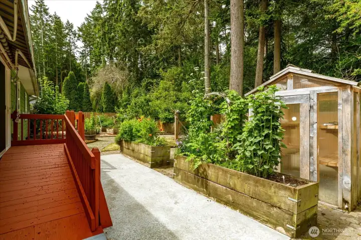 Back-yard Back-yard