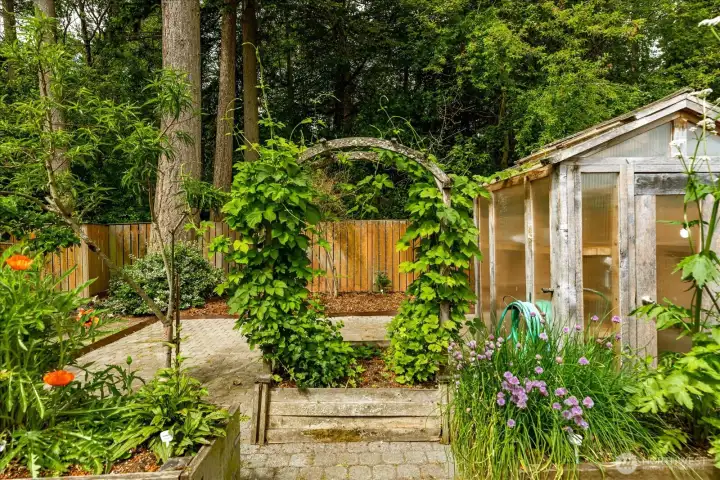 Back-yard Back-yard