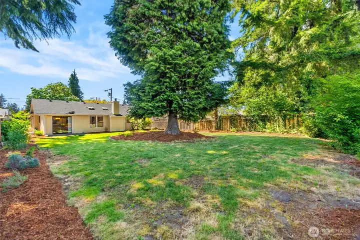 large backyard large backyard