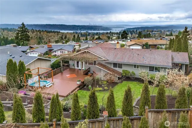 Massive backyard