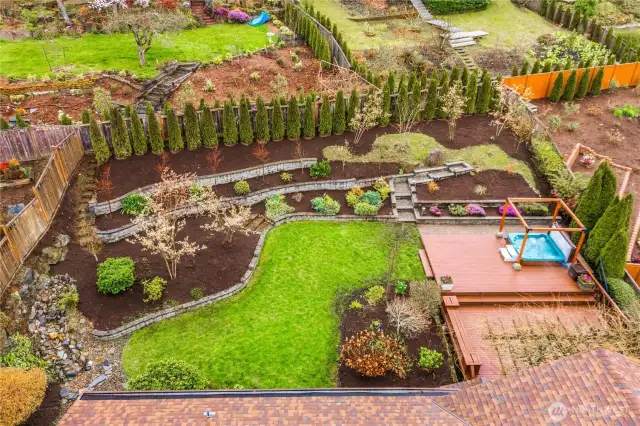 Backyard made for entertainment