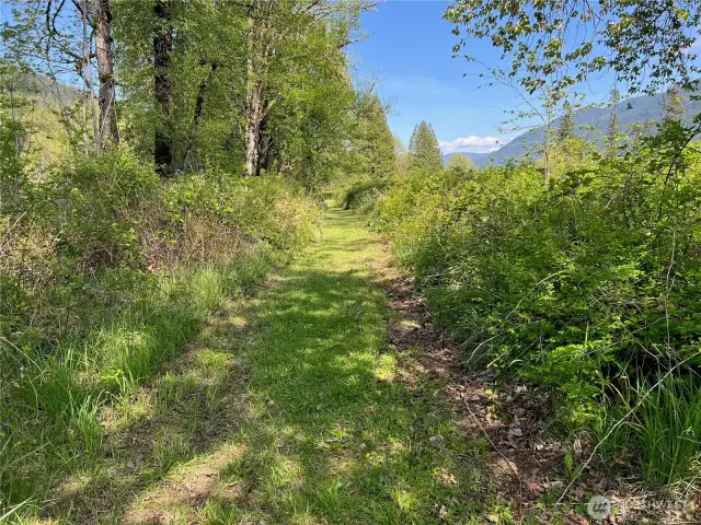 Trail to the garden